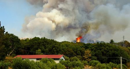 Масштабна пожежа сталася у приватному секторі Кривого Рогу (ВІДЕО)