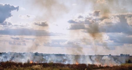 В Криворожском районе пылают почти три гектара пшеницы (ФОТО, ВИДЕО)