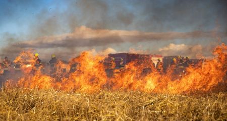 Найвищий рівень загрози: на Дніпропетровщині оголосили надзвичайну пожежну небезпеку (ФОТО)