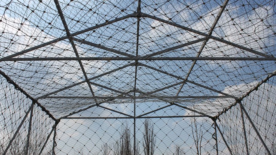 Війна стає ближчою: на Дніпропетровщині накрили антидроновими сітками 150 кілометрів доріг (ВІДЕО)