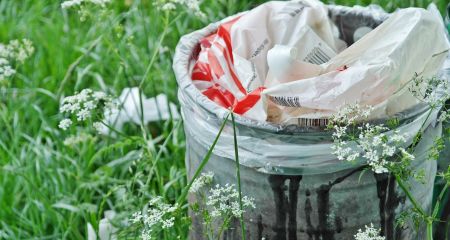 Лісопарк Дружби народів у Дніпрі перетворили на стихійне сміттєзвалище (ФОТО)