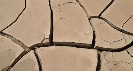 Екологічна катастрофа: у Криворізькому районі вщент висохла водойма (ВІДЕО)