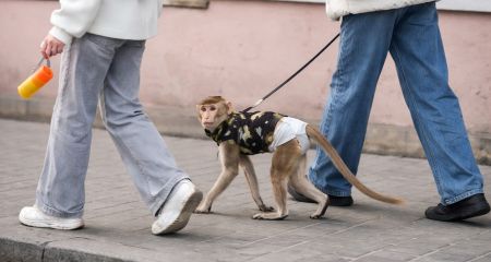 У Дніпрі помітили ма...