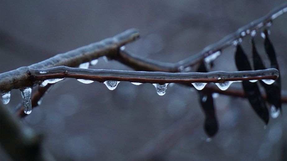 Дождь и гололед: какой будет погода в Днепре и области 7 января