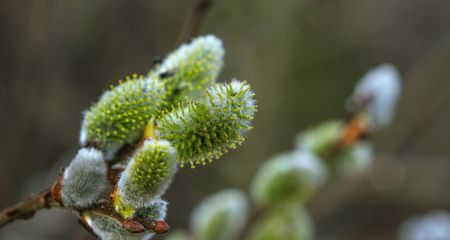 Хмарно і тепло: якою буде погода у Дніпрі та області 20 березня