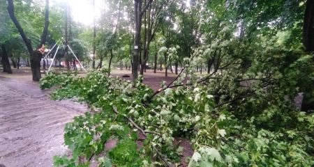 Поваленные деревья и автомобили-лодки: какой беды натворила непогода в Днепре (ВИДЕО)