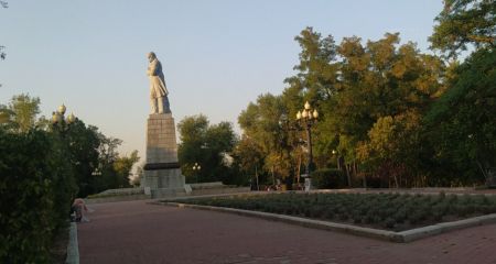 В центре Днепра обокрали лавандовое поле