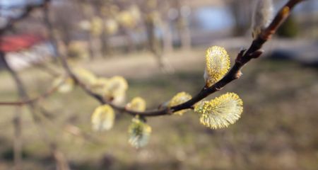 Туман утром и тепло днем: погода в Днепре и области 2 апреля