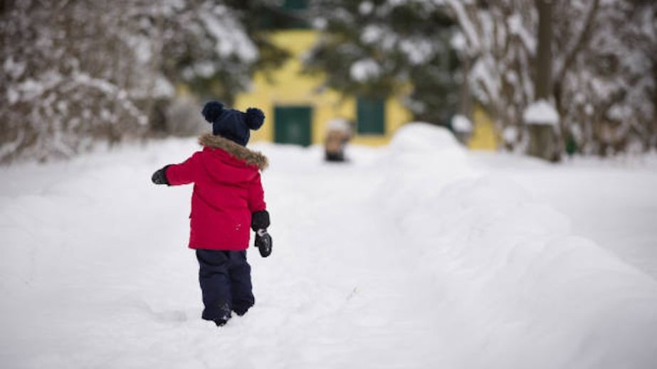 В Кривом Роге маленький мальчик бросился под колеса легковушки (ВИДЕО)