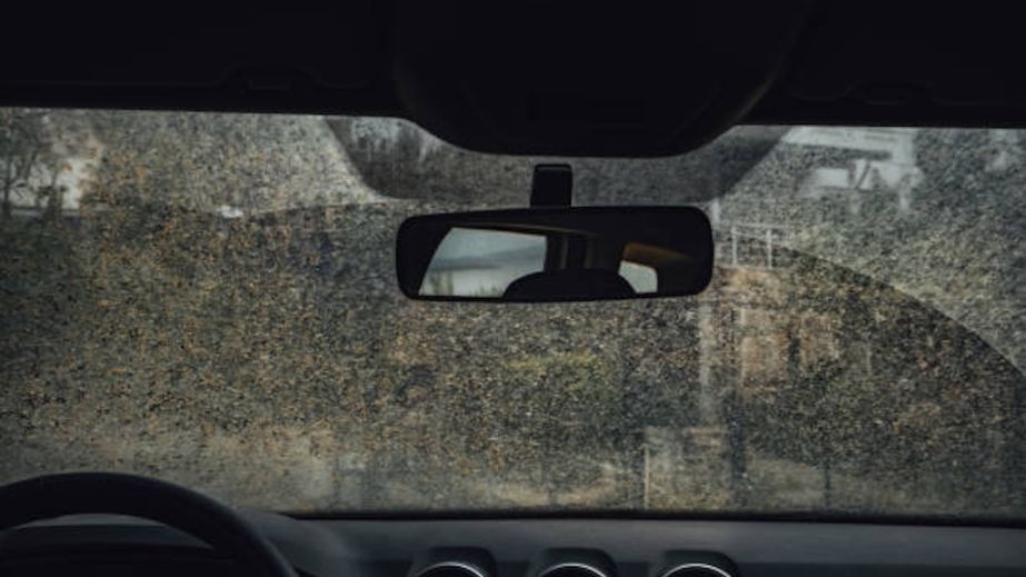 У Дніпрі хулігани замастили фекаліями припарковані авто (ВІДЕО)