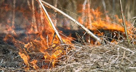 Пламя подбирается к гаражам: в Кривом Роге хулиганы подожгли камыш (ВИДЕО)