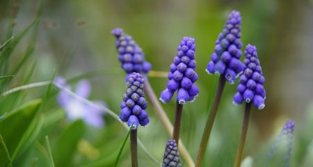 Сильный ветер и тепло: какой будет погода в Днепре и области 15 марта