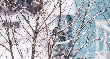 Дождь с мокрым снегом и гололед: какой будет погода в Днепре и области 18 февраля