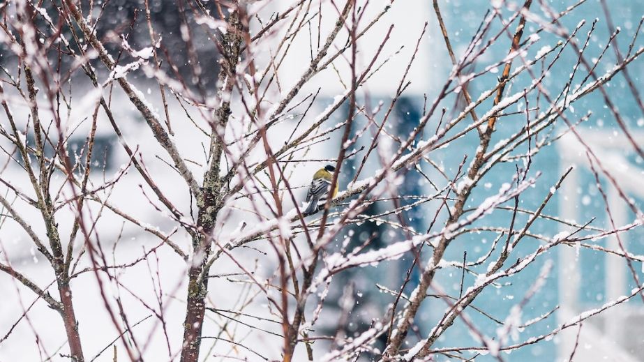 Дощ з мокрим снігом та ожеледь: якою буде погода у Дніпрі та області 18 лютого