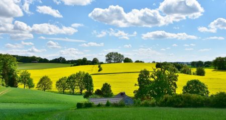 Якою буде погода у Дніпрі та області 20 червня