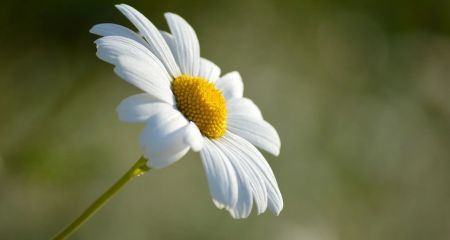Якою буде погода у Дніпрі та області 17 червня
