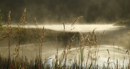 У Дніпрі невідомі зливають відходи в озеро Котлован (ВІДЕО)