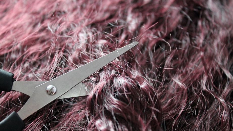 Ребенок в шоке: на Днепропетровщине неадекват в маске обезьяны срезал девочке волосы посреди улицы (ФОТО)