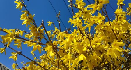 Вдень місцями невеликий дощ: якою буде погода у Дніпрі та області 24 березня