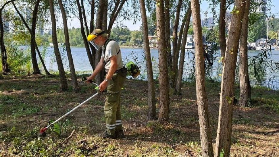 У Дніпрі на Монастирському острові активно косять аморфу