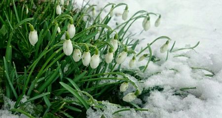 Мокрий сніг та дощ: якою буде погода у Дніпрі та області 26 лютого