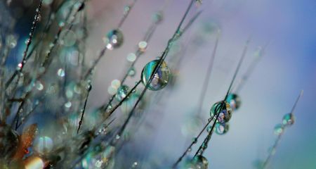 +11 покажут столбики термометров в Днепропетровской области 8 марта