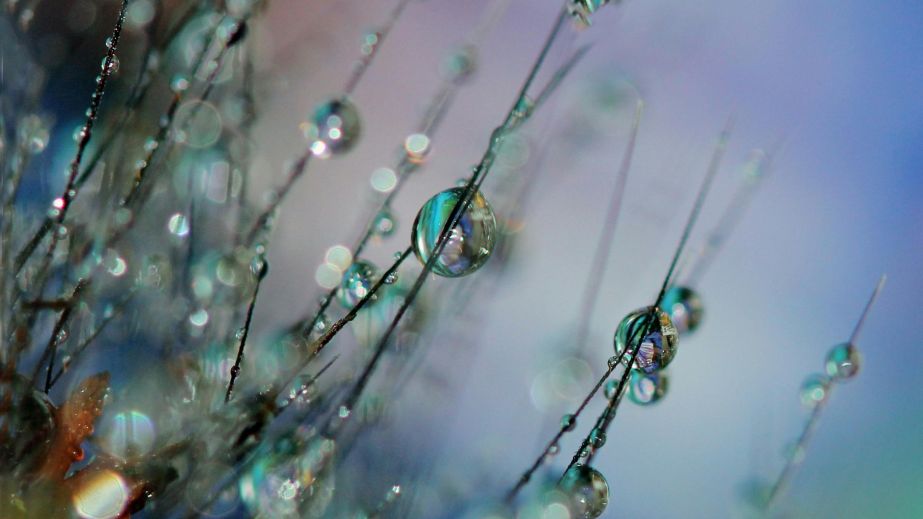 +11 покажуть стовпчики термометрів на Дніпропетровщині 8 березня