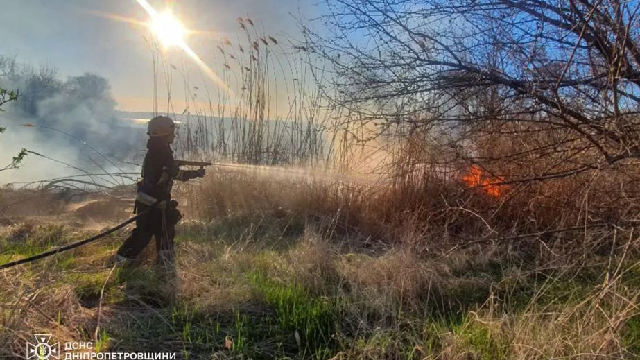 Экосистемы Днепропетровщины горели 30 раз за сутки