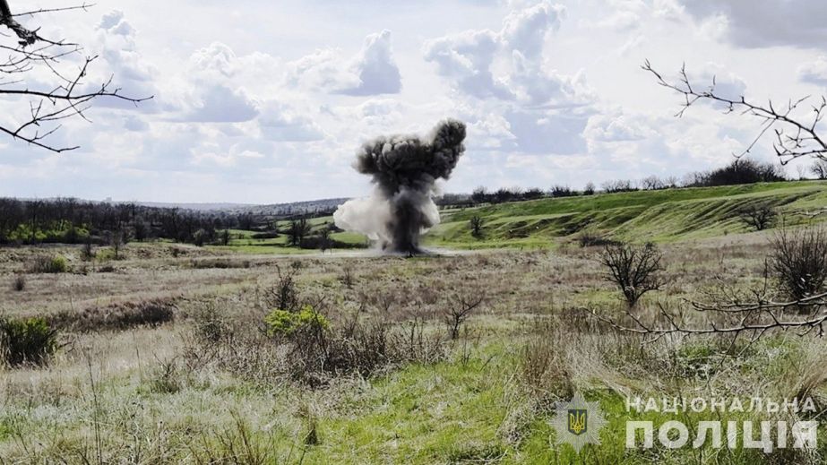 В Криворізькому районі знищили бойову частину ворожого БпЛА. Відео