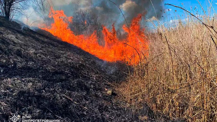 Мешканців Дніпропетровщини попереджають про надзвичайний рівень пожежної небезпеки 8 квітня