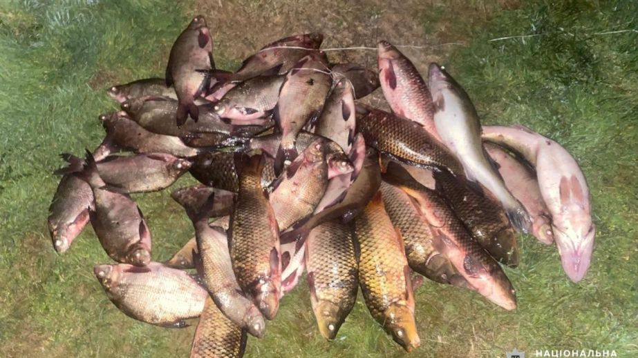От белого амура до сазана: браконьеры в Никопольском районе выловили более 100 кг рыбы