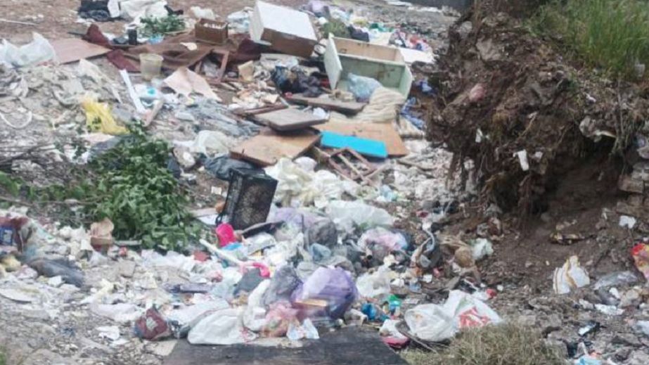 Некому вывозить: в Кривом Роге посреди жилого квартала возник мусорный котлован
