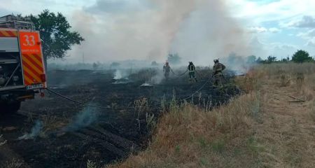 За добу 5 серпня на Дніпропетровщині вигоріло понад 22 га екосистем