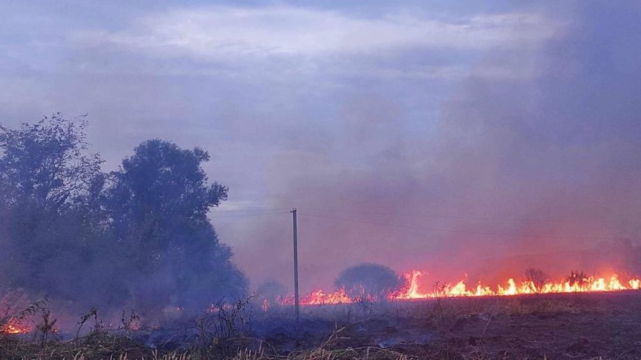 Масштабна пожежа полях на Дніпропетровщині ледь не зруйнувала притулок для евакуйованих з війни тварин (ФОТО)