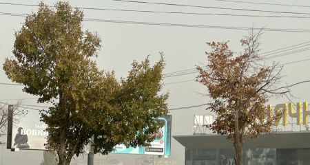 Почти торнадо: под Днепром был замечен сильный пылевой вихрь (ВИДЕО)