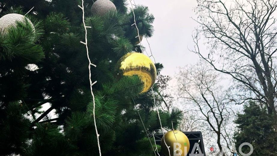 На Західному у Дніпрі встановлюють новорічну ялинку (ФОТО)