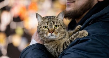 У Києві знайшли рюкзак з кішкою і квитком на потяг до Кривого Рогу (ФОТО)