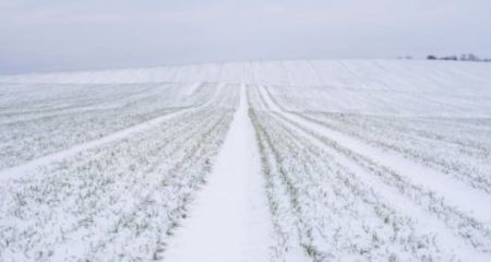 Понад 40 млн грн стягнули з орендарів на Дніпропетровщині за користування землею (ФОТО, ВІДЕО)