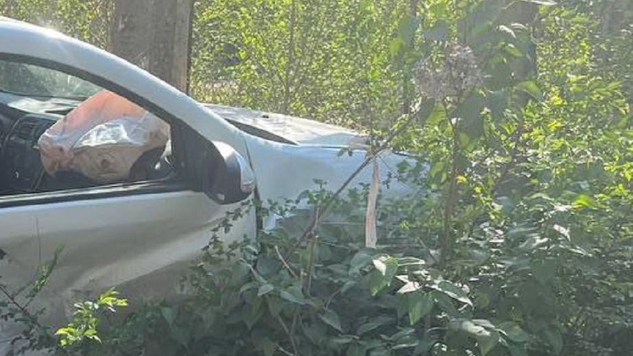Автомобіль влетів у паркан: у Кривому Розі родина з однорічним малюком потрапила в ДТП (ФОТО, ВІДЕО)
