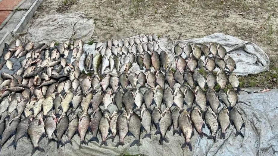 У Дніпрі браконьєр наловив риби на понад 350 тисяч гривень (ФОТО)