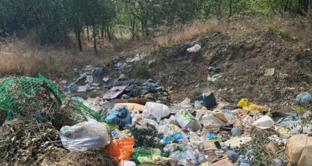У Кривому Розі на смітнику вийявили тіла собак (ВІДЕО 18+)