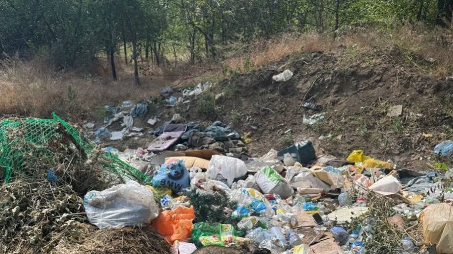 У Кривому Розі на смітнику вийявили тіла собак (ВІДЕО 18+)