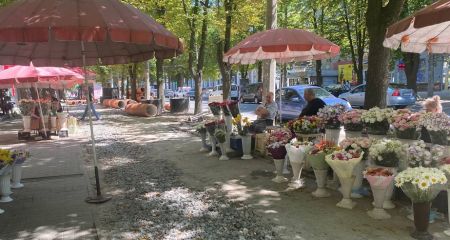 Якою буде погода у Дніпрі 9 липня