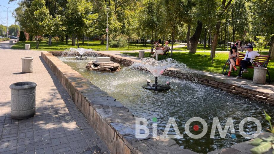 Схожий на бутон квітки: як модернізували фонтан у Павлограді (ФОТО, ВІДЕО)