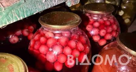 Рецепты на зиму: какие компоты закрывают на Днепропетровщине (ФОТО)