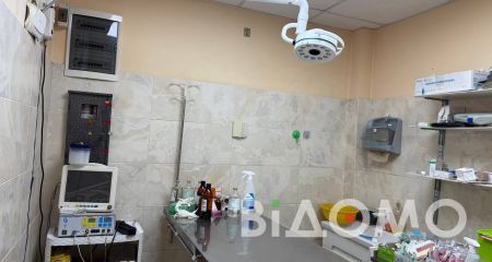 Як у Павлограді врятували собаку з передової: історія Маркуса (ФОТО)