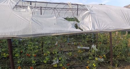 Упродовж 8 серпня окупанти атакували два райони Дніпропетровщини: постраждали люди (ФОТО)