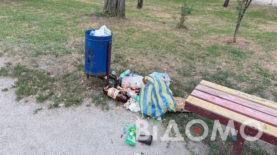 В Павлограде отдыхающие оставили после себя в парке горы мусора (ФОТО, ВИДЕО)