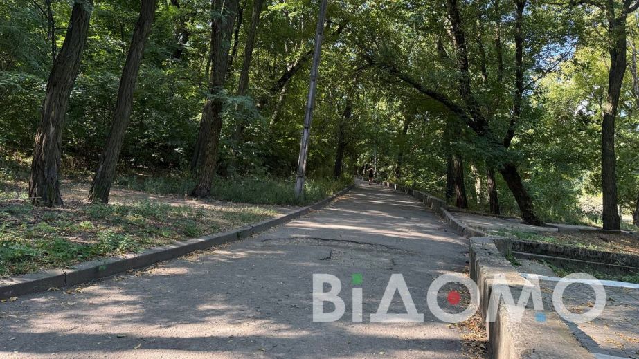 Какой будет погода в Днепре и области 20 ноября