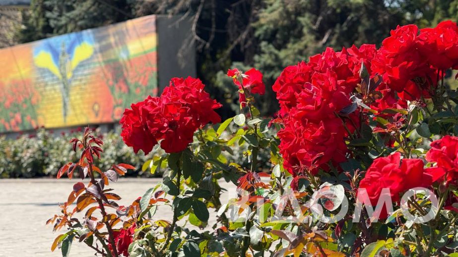 Мінлива хмарність і прохолода: якою буде погода на Дніпропетровщині 29 жовтня